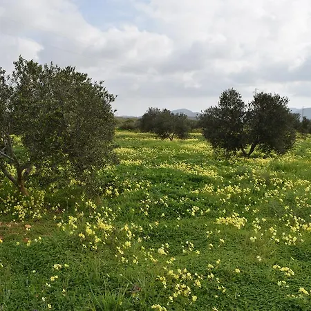 Casa rural Cortijo La Molina De